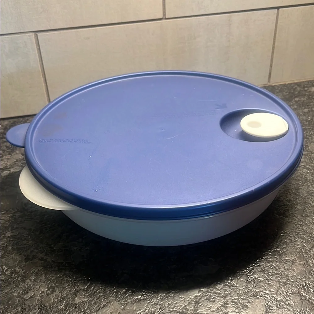 Tupperware Blue and White Crystal Wave divided Bowl with microwave vent